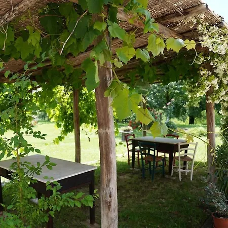 La Collina Tuscan Stone Holiday home *