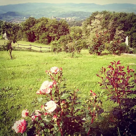 Holiday home La Collina Tuscan Stone Soci