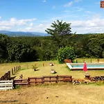 度假居 La Collina Tuscan Stone Soci