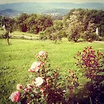 度假居 La Collina Tuscan Stone *